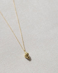 Gold Conch Shell Necklace