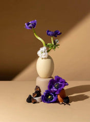 S+P CLASSIC COLLECTION SOY CANDLES