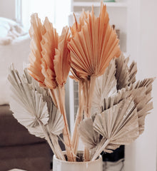 DRIED SPEAR PALMS - Salt+Pine Shop