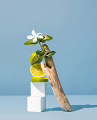 S + P SIGNATURE CANDLES