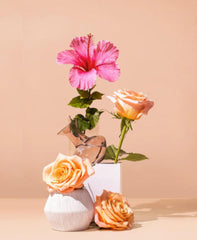 S + P SIGNATURE CANDLES